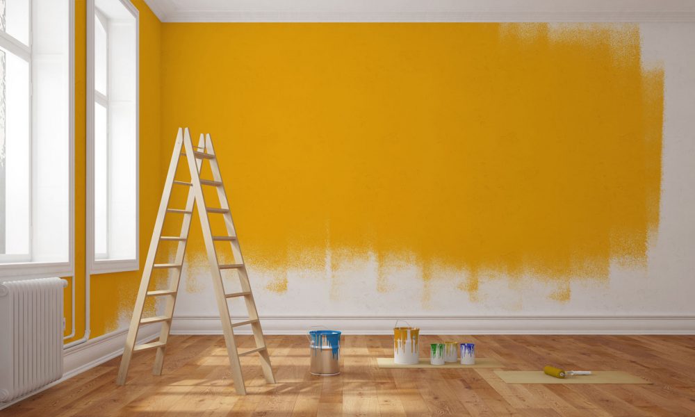 Professional Painters for Their Homes
